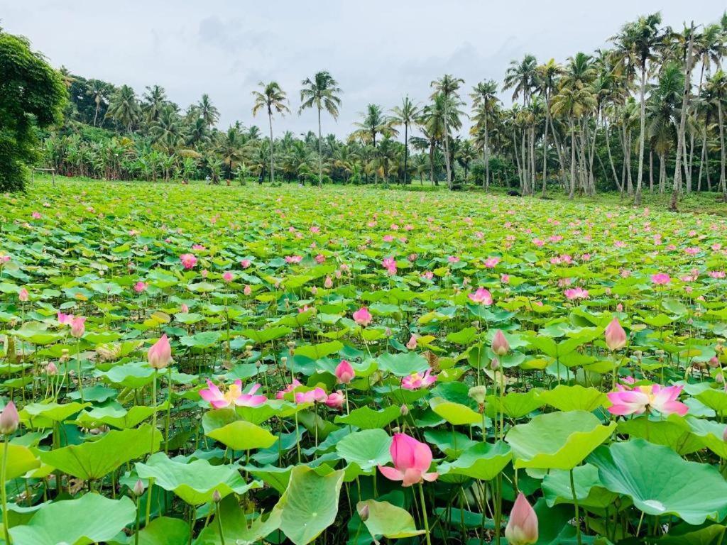 Maadathil Cottages & Beach Resort Varkala Exteriér fotografie