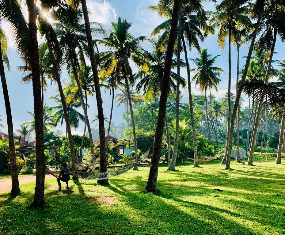 Maadathil Cottages & Beach Resort Varkala Exteriér fotografie